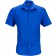 color:royal
